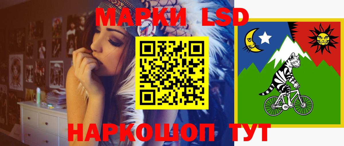 Псилоцибиновые грибы Михайловка