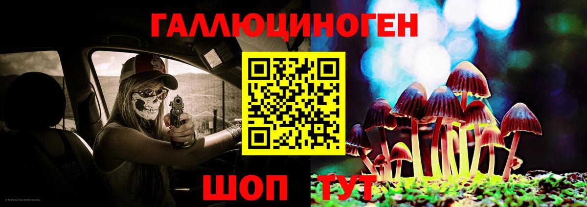 Михайловка  Псилоцибиновые грибы GOLDEN TEACHER  Галлюциногенные грибы MAGIC MUSHROOMS  Вход с VPN 